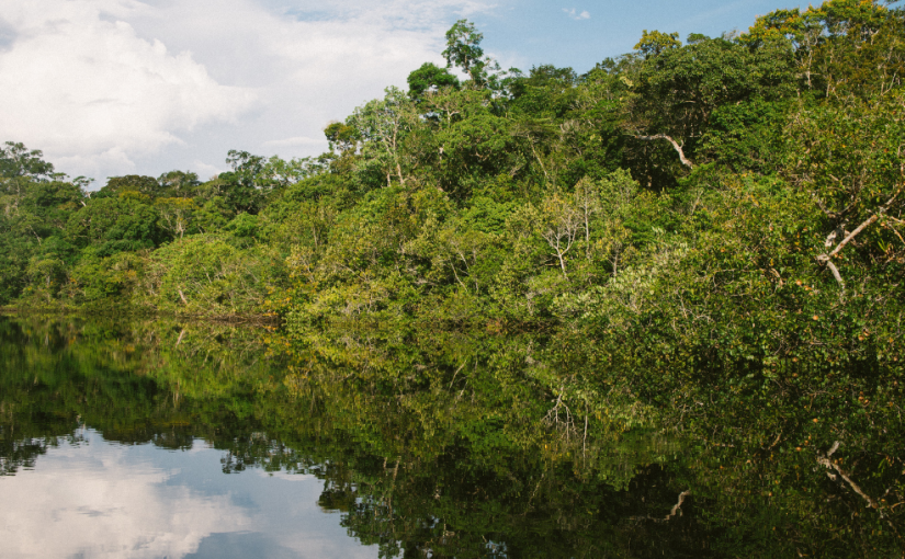 Advierten que el Amazonas se acerca a un punto de no retorno